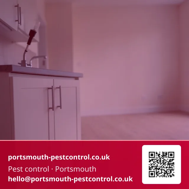Torch checking behind a kitchen unit in an empty rental flat