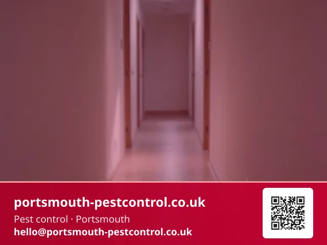 Empty flat hallway skirting being checked with a torch