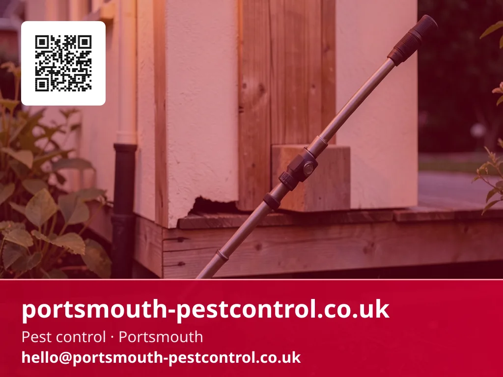 Inspection torch checking the base of a garden shed for gaps