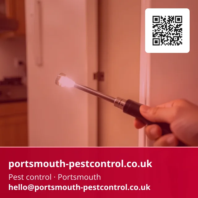 Torch checking behind a pulled-out kitchen appliance for a treatment point