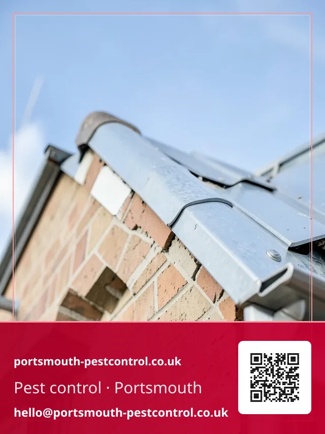 Mesh being fitted along a roof verge gap from an extension ladder