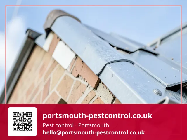 Mesh being fitted along a roof verge gap from an extension ladder